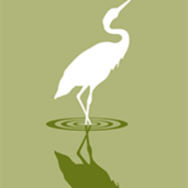 Caddo Lake Institute Inc logo