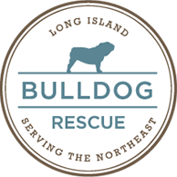 Long Island Bulldog Rescue logo