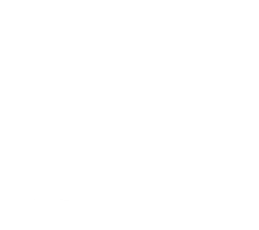 Soulformation logo