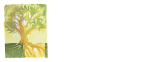 Life Spring Network logo