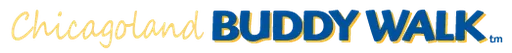 DS Support Inc logo