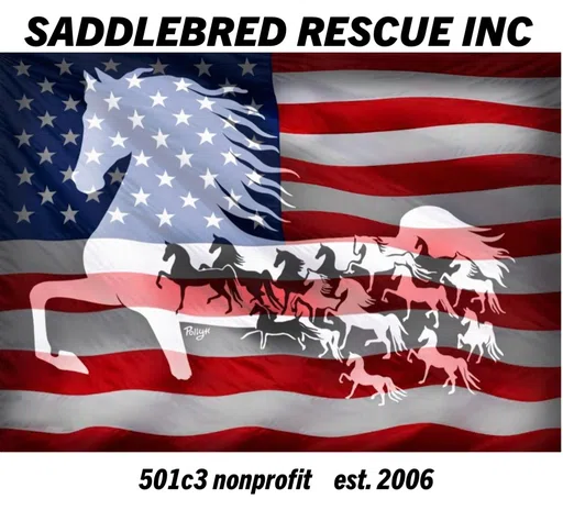 Saddlebred Rescue Inc logo