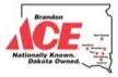 Brandon Area Soccer Association logo