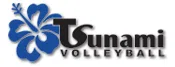 Tsunami Volleyball Inc logo