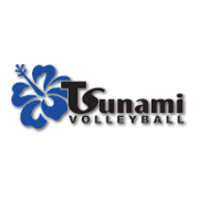 Tsunami Volleyball Inc logo