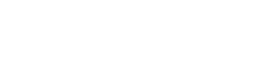 West Virginia Symphony Orchestra Foundation Inc logo