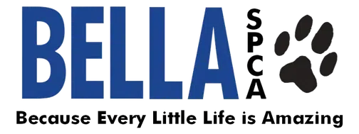 Bella Foundation logo