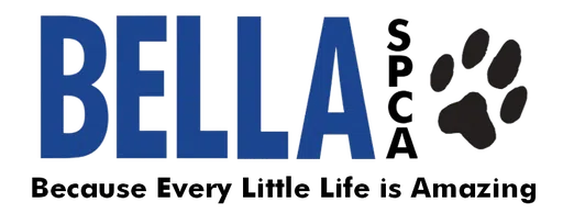Bella Foundation logo