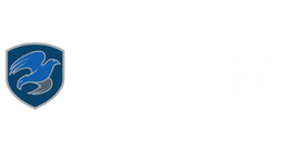 The Mission Continues logo