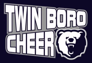 American Youth Football Inc logo