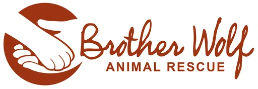Brother Wolf Animal Rescue Inc logo