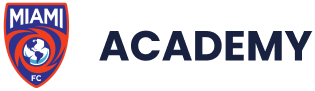 Soccer Academy of the Americasmiami Inc logo