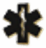 Triad Health Systems Inc logo