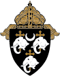St Marys Nursing Home logo