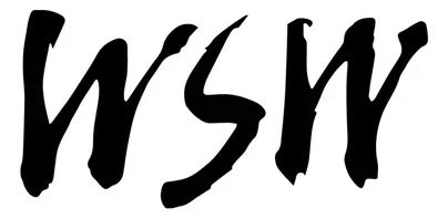 Womens Studio Workshop Inc logo