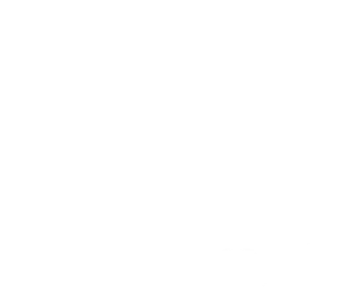Glens Falls Symphony Orchestra Inc logo