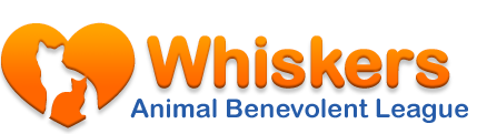Whiskers Inc logo
