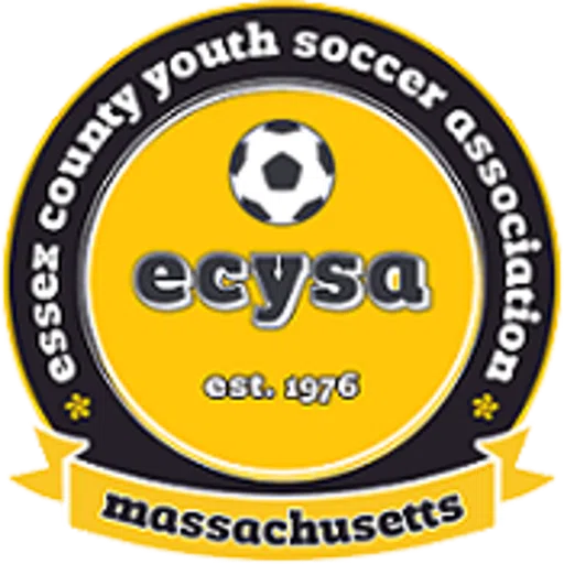 Danvers Youth Soccer Association Inc logo