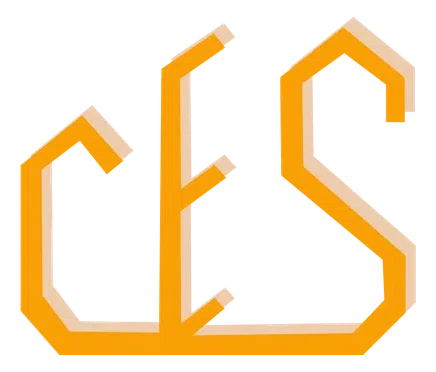 Chinese Economists Society Inc logo
