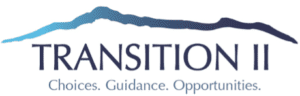 Transition II Inc logo