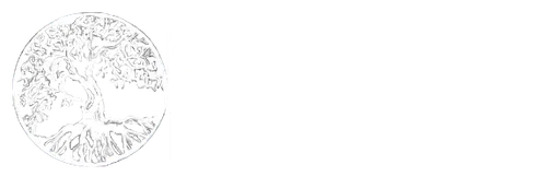 Options in Education Inc logo