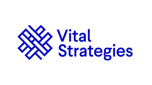 Vital Strategies Inc logo