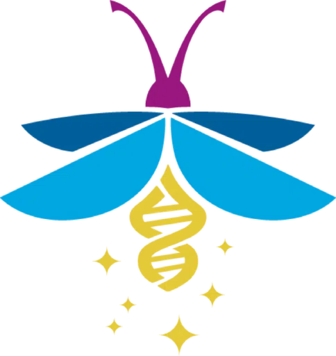 C C H S Network Inc logo