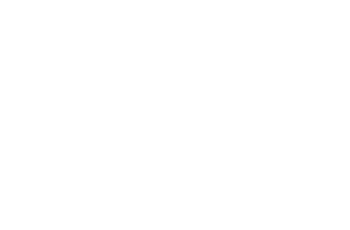 WMC Wolfpack Football Club Inc logo