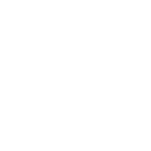 New Jersey Chapter American Academy of Pediatrics Inc logo