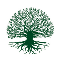 The Martin and Edith Stein Assisted Living Residence Inc logo