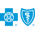 Bluecross Blueshield of South Carolina Foundation logo