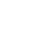 Federation of Neighborhood Centers logo