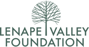 Lenape Valley Foundation logo