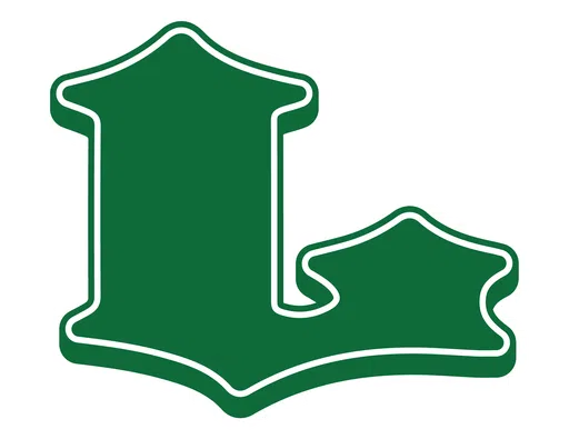 Lewisburg Elementary Parent School Association logo