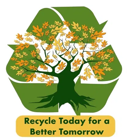 Recycling Services Inc logo
