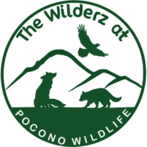 Pocono Wildlife Rehabilitation Center logo