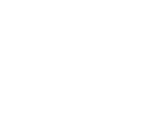 Foundation for the Reading Public Museum logo