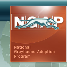 National Greyhound Adoption Program logo
