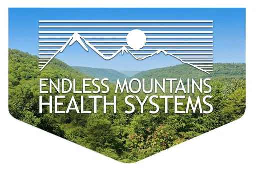 Endless Mountains Health Systems Inc logo