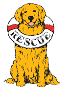 Delaware Valley Golden Retriever Rescue Inc logo