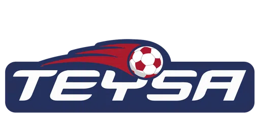 Tredyffrin-Easttown Youth Soccer Association Inc logo
