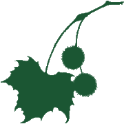 Willistown Conservation Trust Inc logo