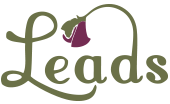 Lancasters Economic Action for Downtowns Success logo