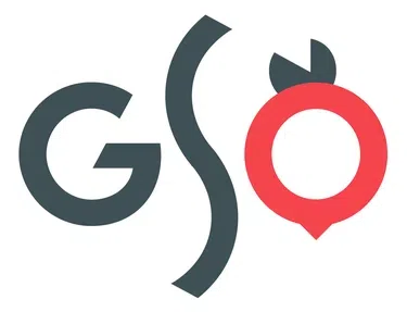 Georgia Symphony Orchestra logo