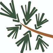 Camp Anderson Foundation Inc logo