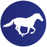 PTA Delaware Congress logo