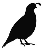 Quail Arbor Civic Club Inc logo