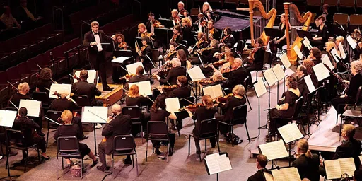 Lansdowne Symphony Orchestra Association logo