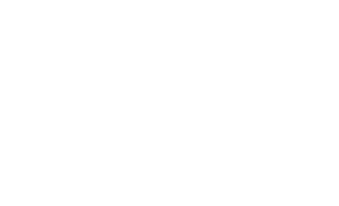 Friends of the Rosamond Gifford Zoo at Burnet Park Inc logo