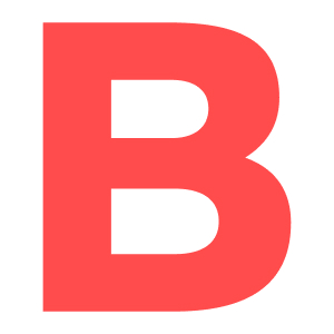 Bruce Museum Inc logo